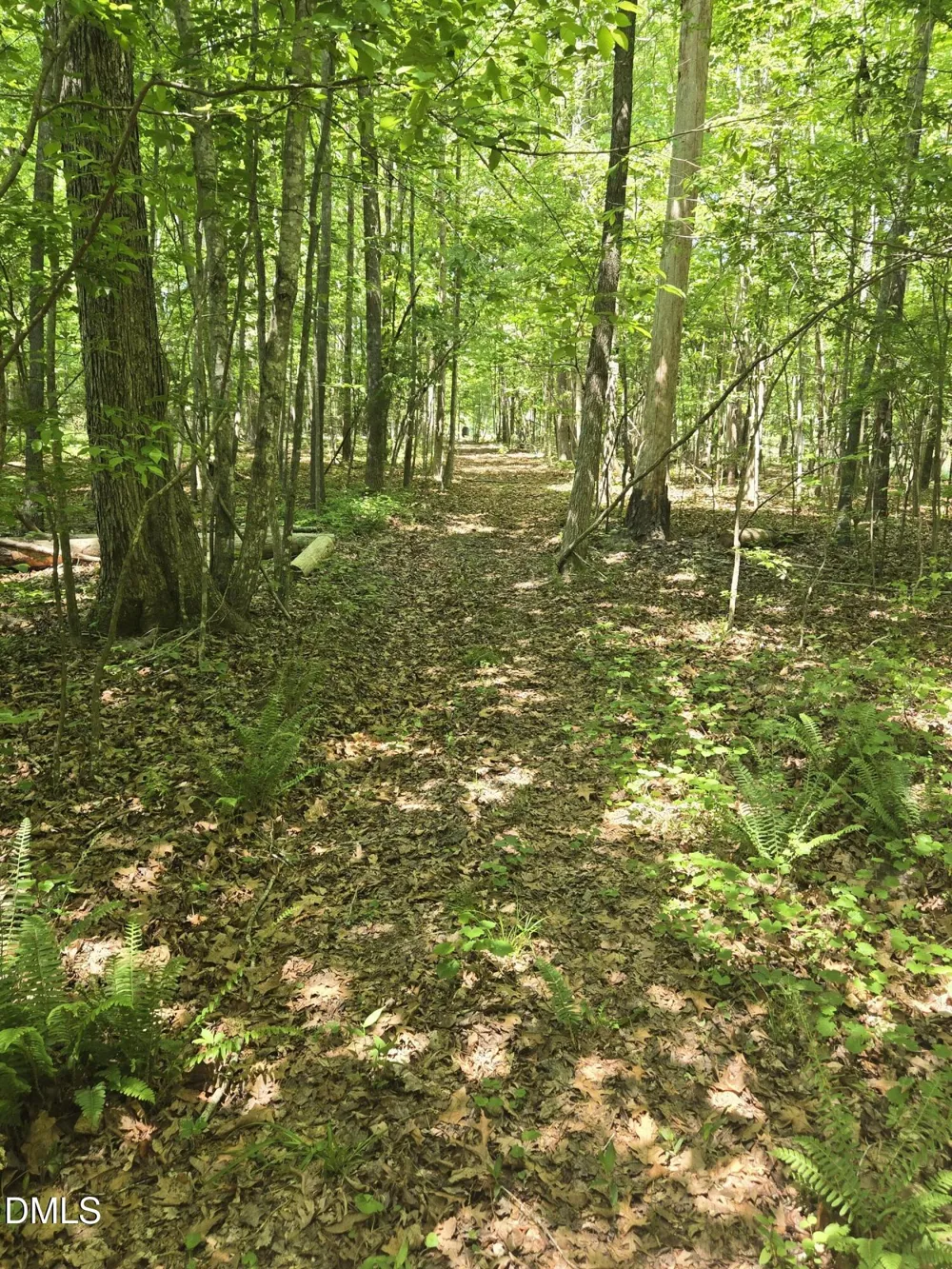 5022 Mount Hermon Rock Crk Road Snow Camp, NC 27349