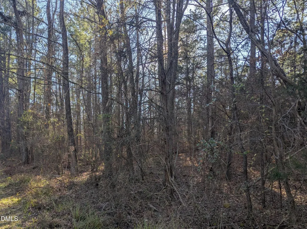 0 Shocco Springs Warrenton, NC 27589