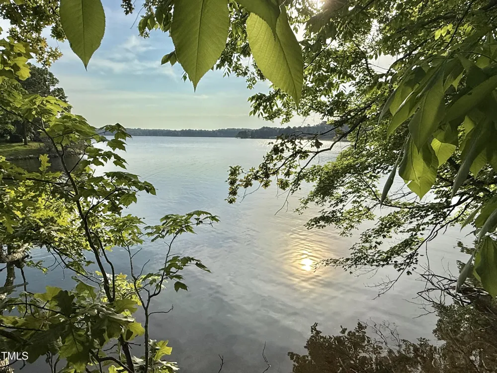 54 (lot #) Pinesborough Estate Road Semora, NC 27343
