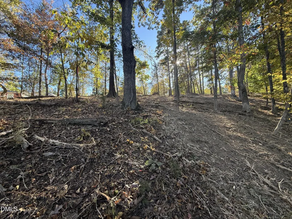 54 (lot #) Pinesborough Estate Road Semora, NC 27343