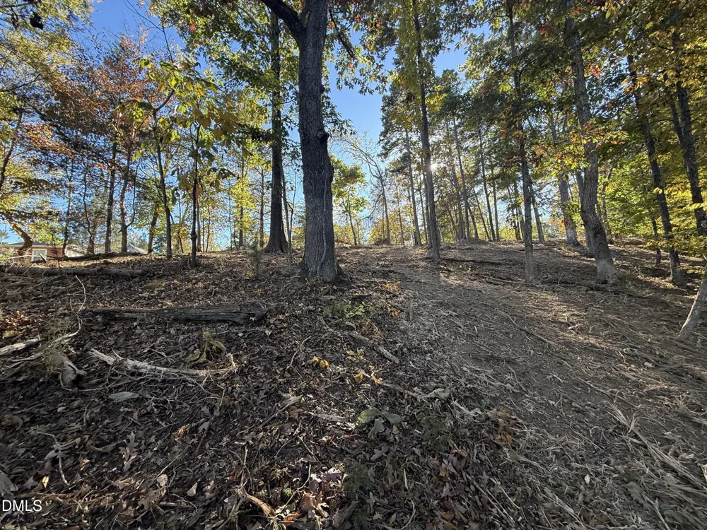 54 (lot #) Pinesborough Estate Road Semora, NC 27343