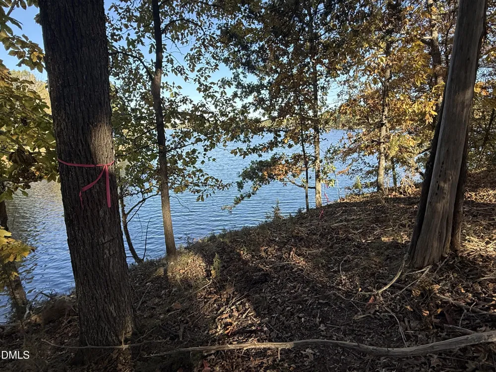 54 (lot #) Pinesborough Estate Road Semora, NC 27343