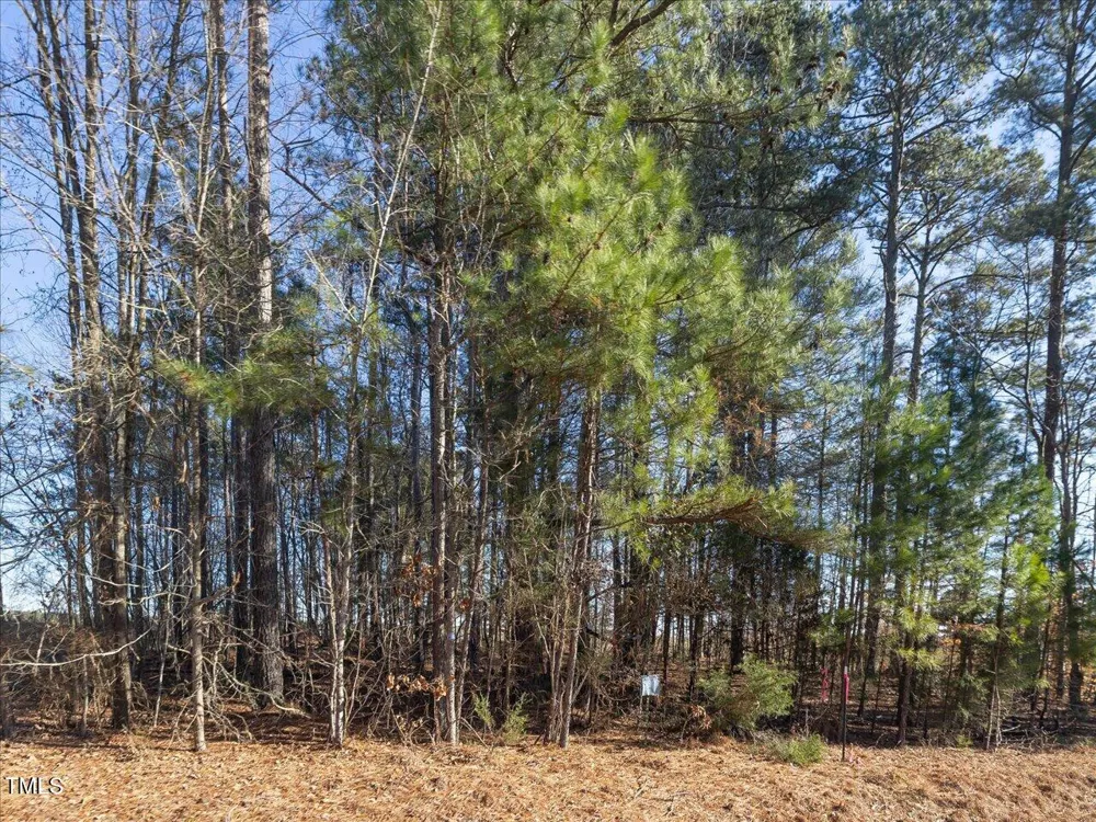 000 Roberts Chapel Road Goldston, NC 27252