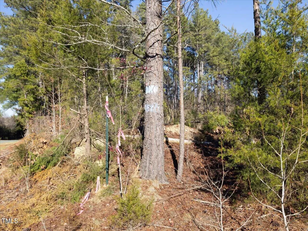 000 Roberts Chapel Road Goldston, NC 27252