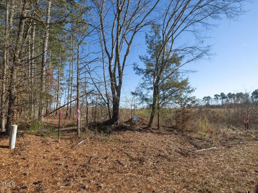 00 Roberts Chapel Road Goldston, NC 27252
