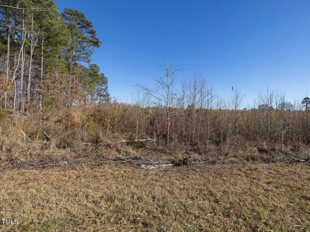 00 Roberts Chapel Road Goldston, NC 27252