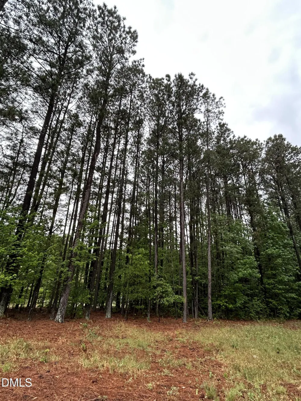 0 W River Road Franklinton, NC 27525