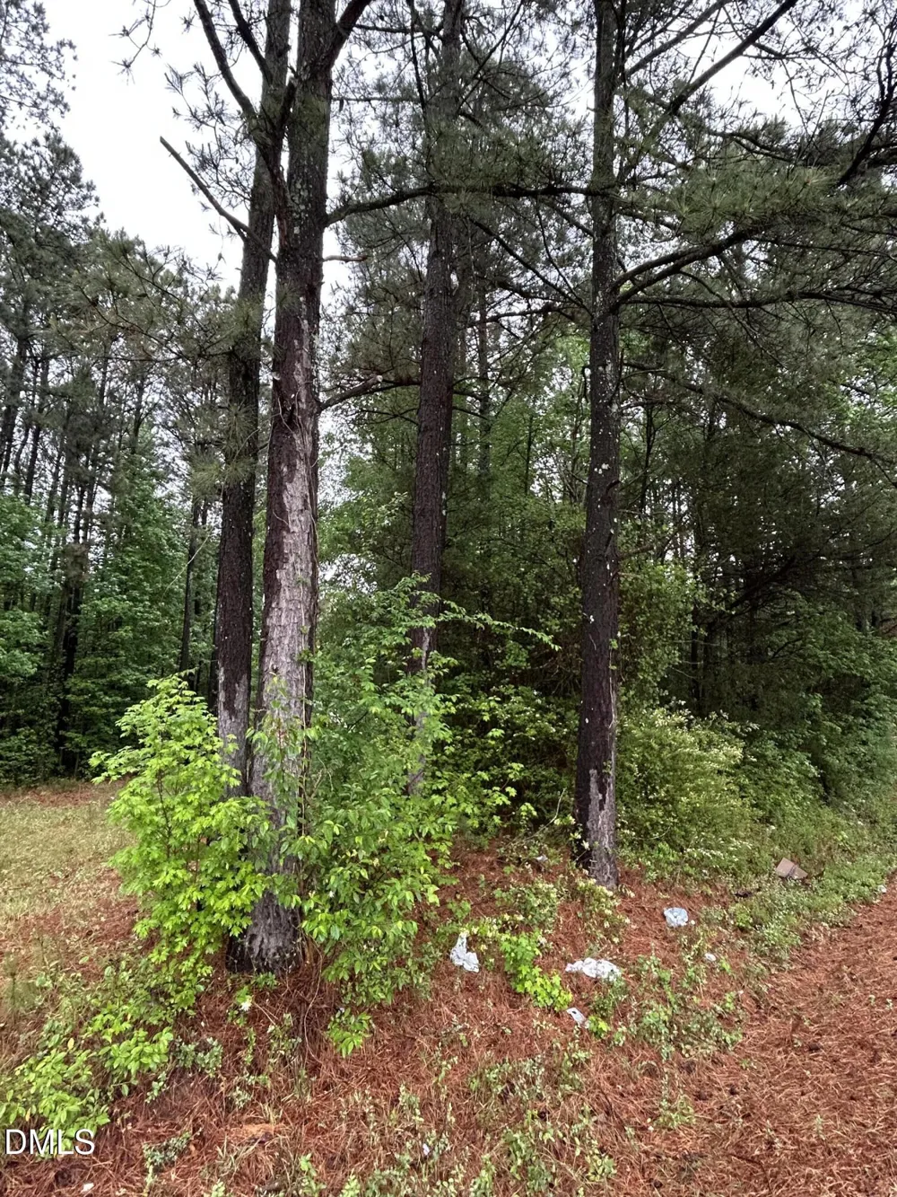 0 W River Road Franklinton, NC 27525