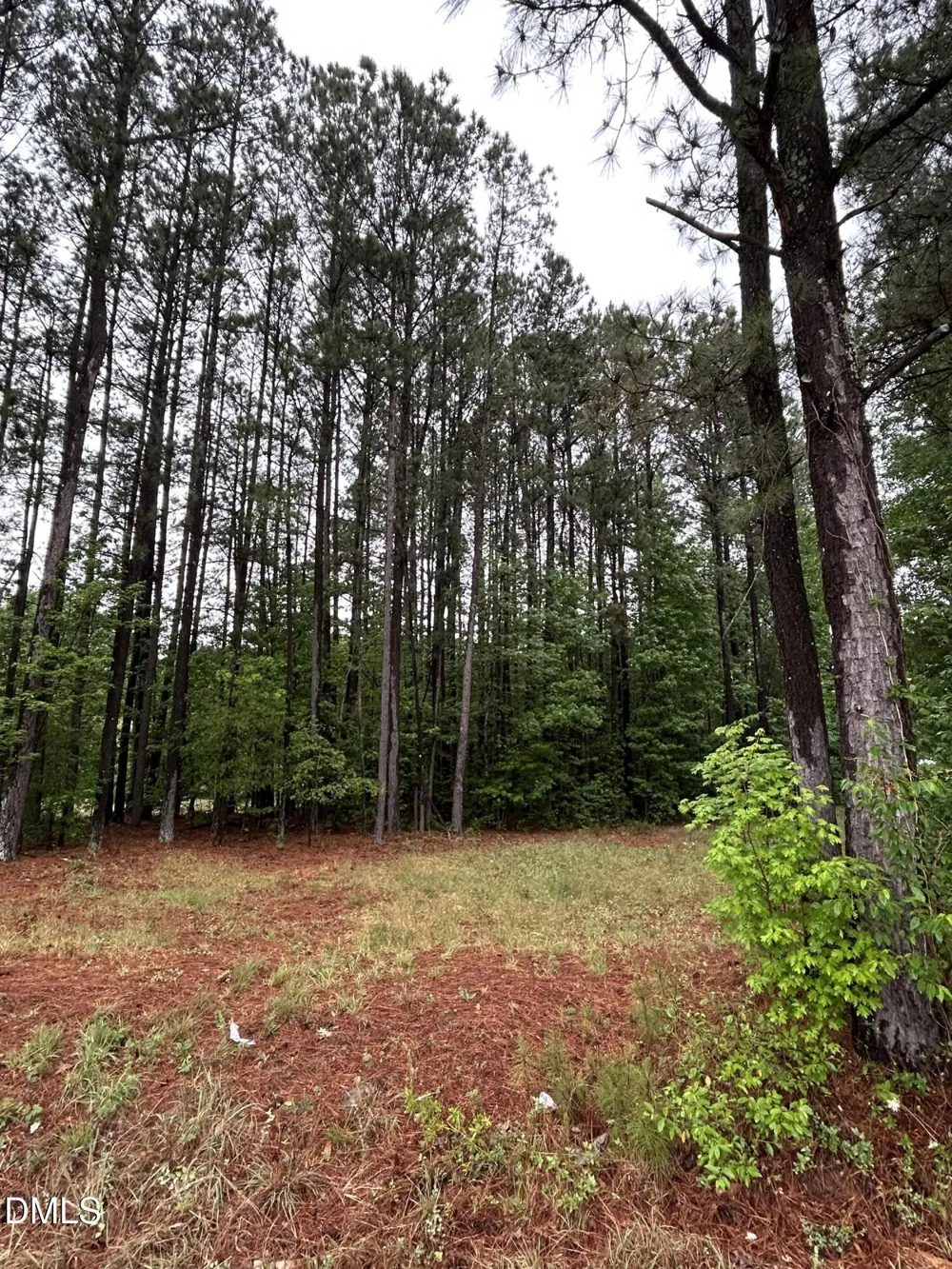 0 W River Road Franklinton, NC 27525