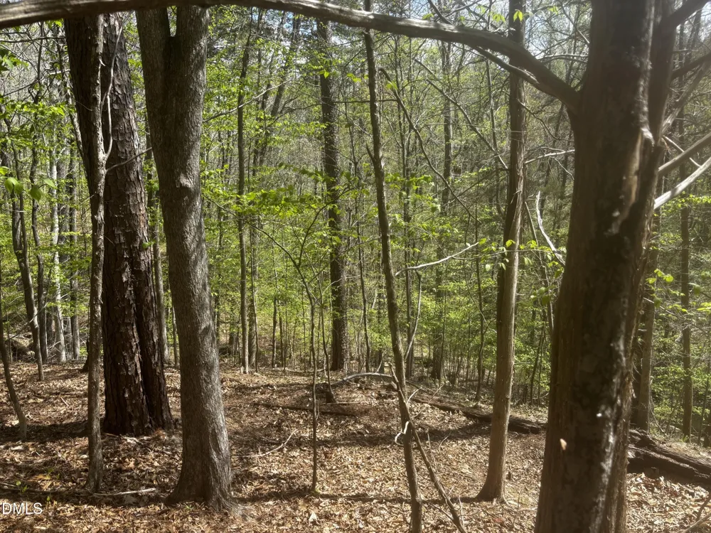 16 Quail Hollow Drive Roxboro, NC 27574