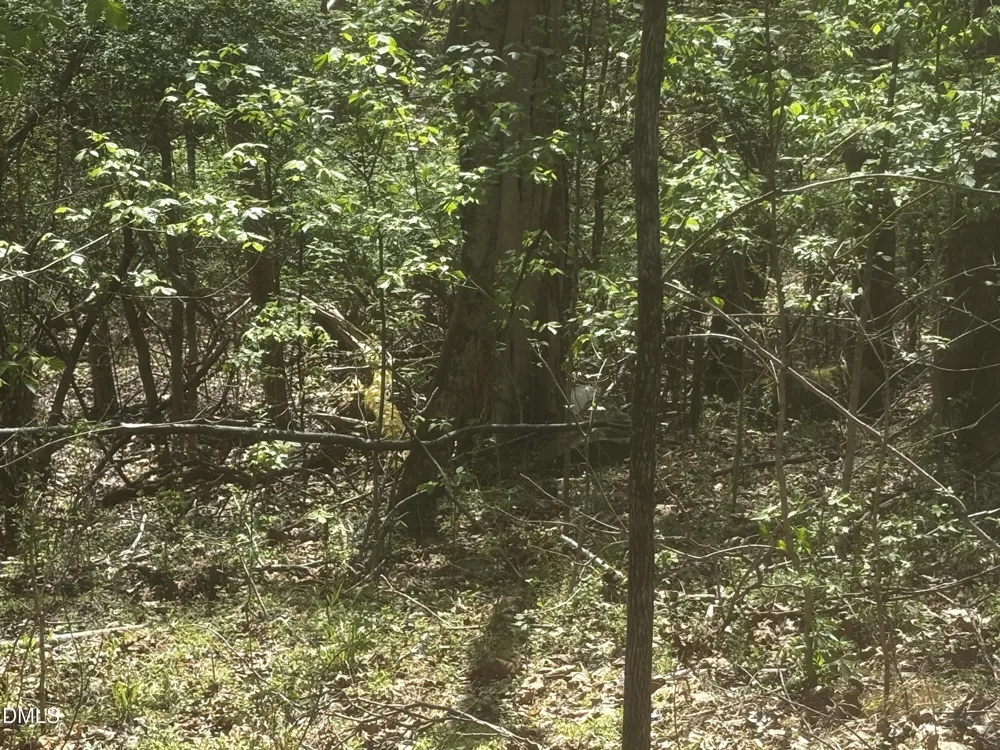 16 Quail Hollow Drive Roxboro, NC 27574