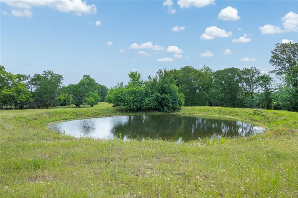 1111 Fm 1486 Richards, TX 77873
