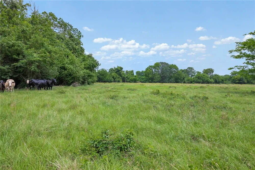 1111 Fm 1486 Richards, TX 77873