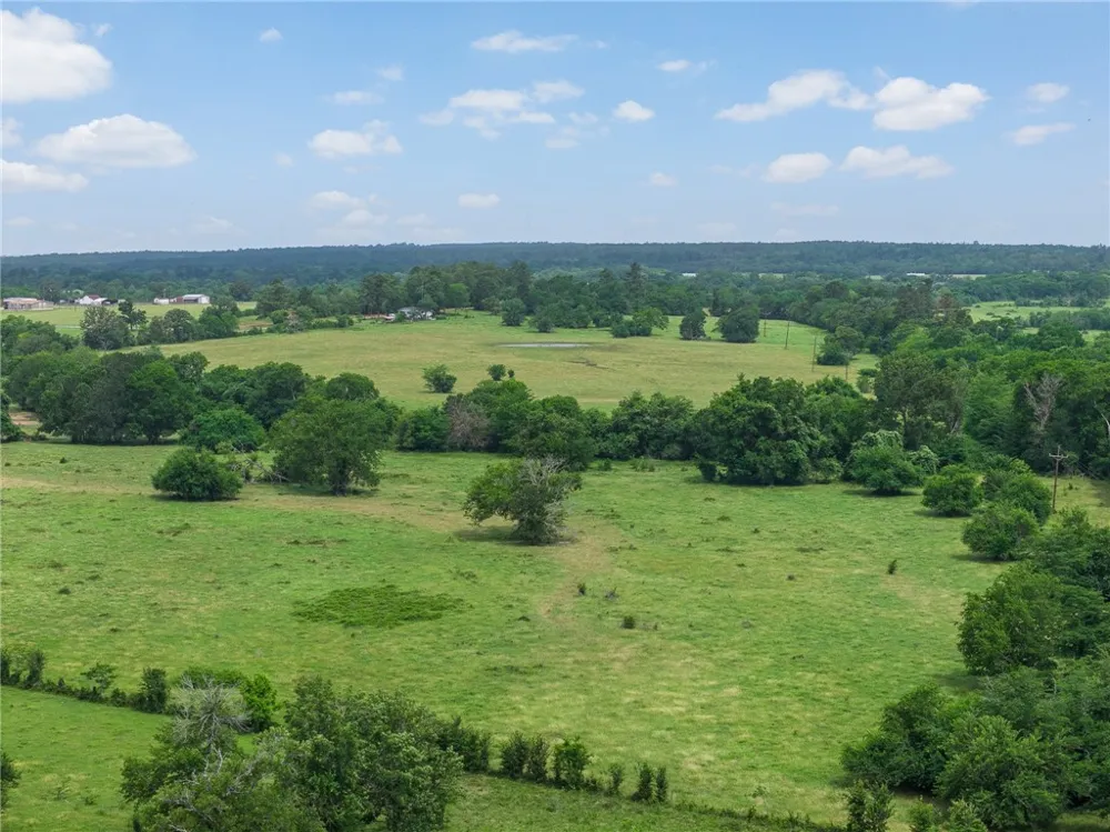 1111 Fm 1486 Richards, TX 77873