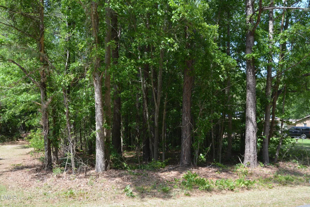 0 NC Hwy 461 Winton, NC 27986
