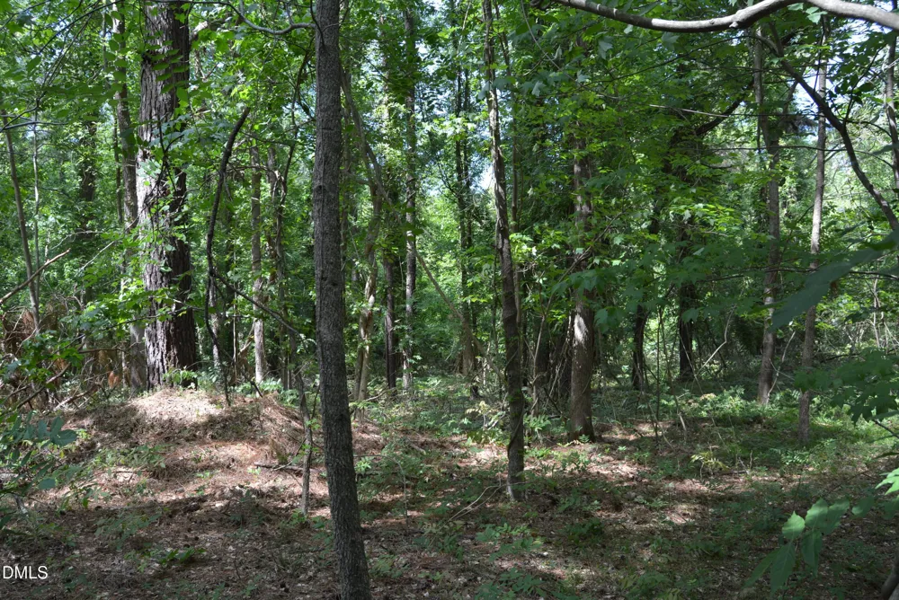0 NC Hwy 461 Winton, NC 27986