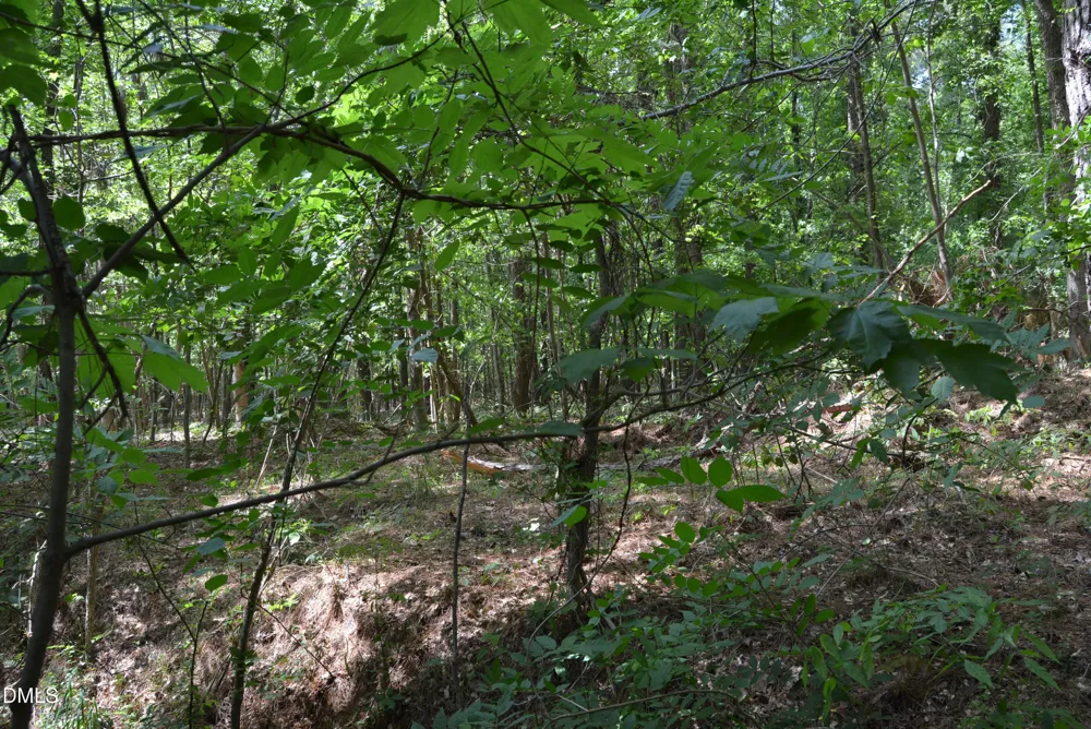 0 NC Hwy 461 Winton, NC 27986