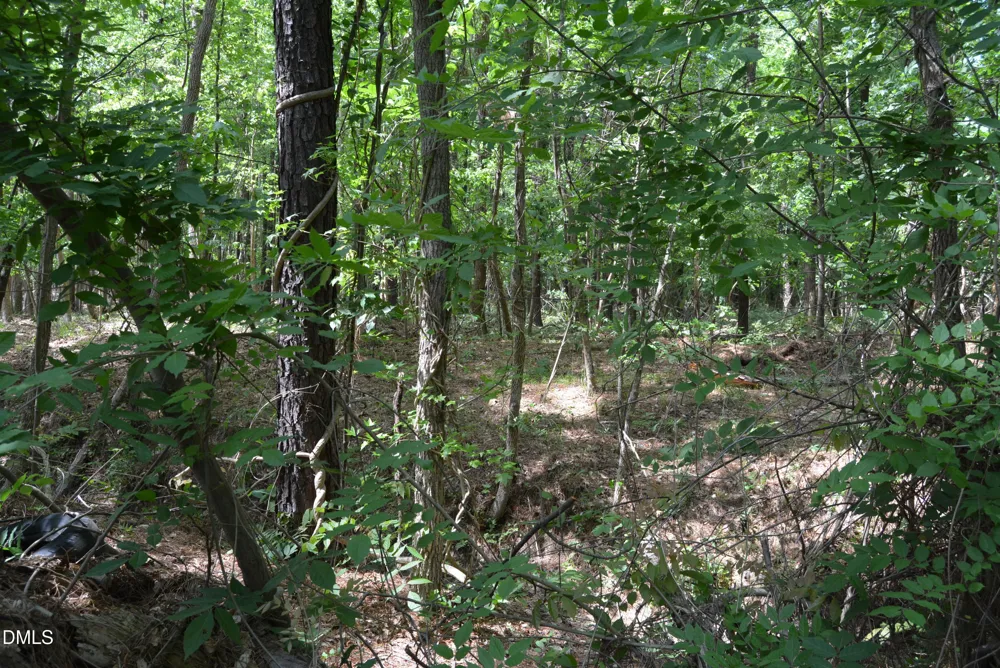0 NC Hwy 461 Winton, NC 27986