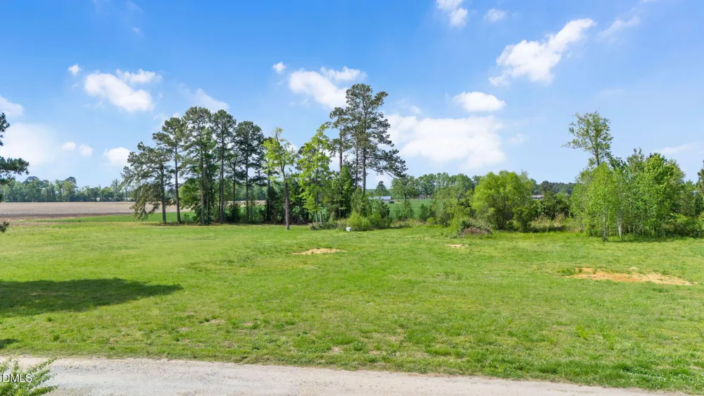 2115 Woods Crossroads Road Benson, NC 27504