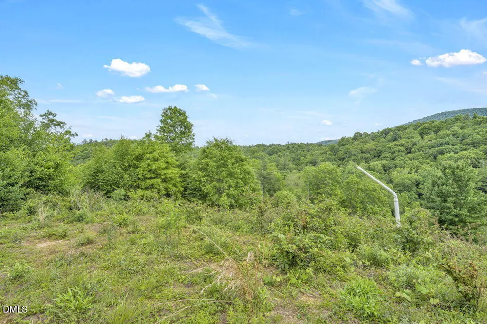 488 Dewitt Road Sparta, NC 28675