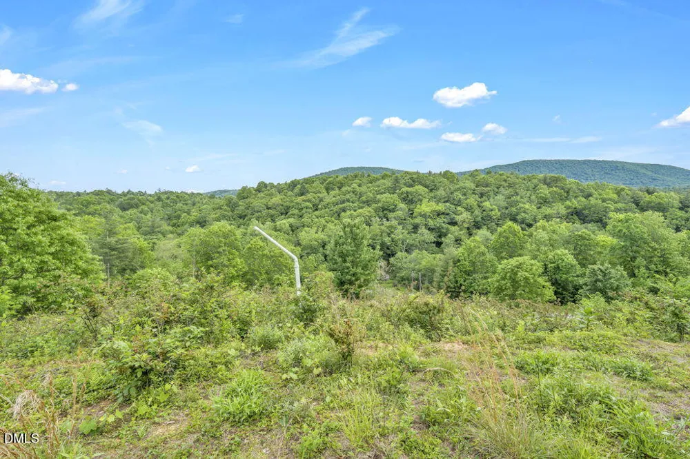 488 Dewitt Road Sparta, NC 28675