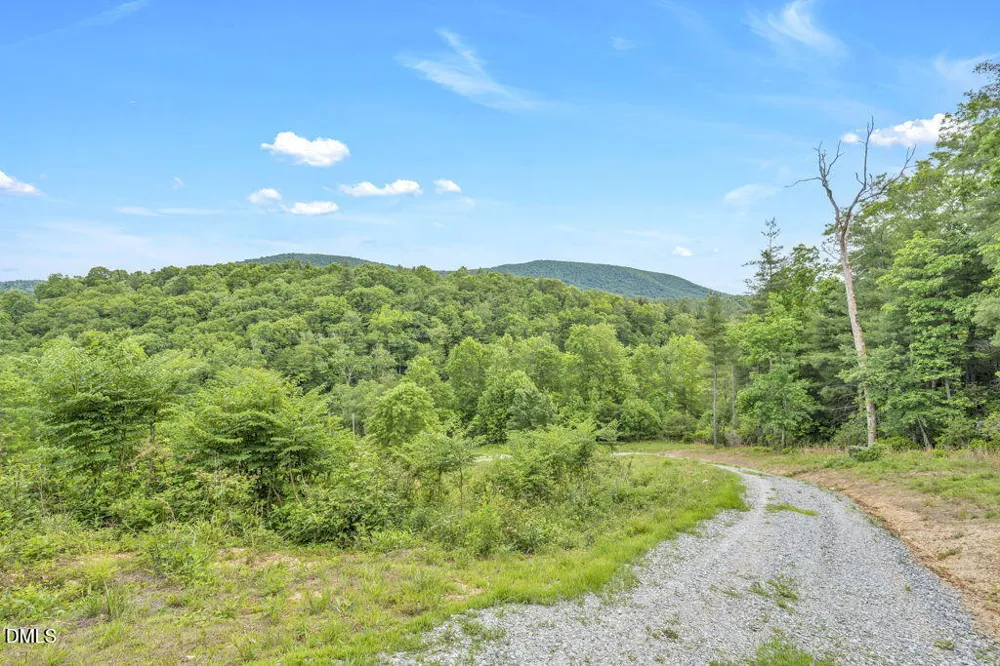 488 Dewitt Road Sparta, NC 28675