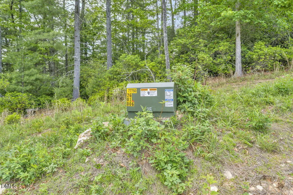 488 Dewitt Road Sparta, NC 28675
