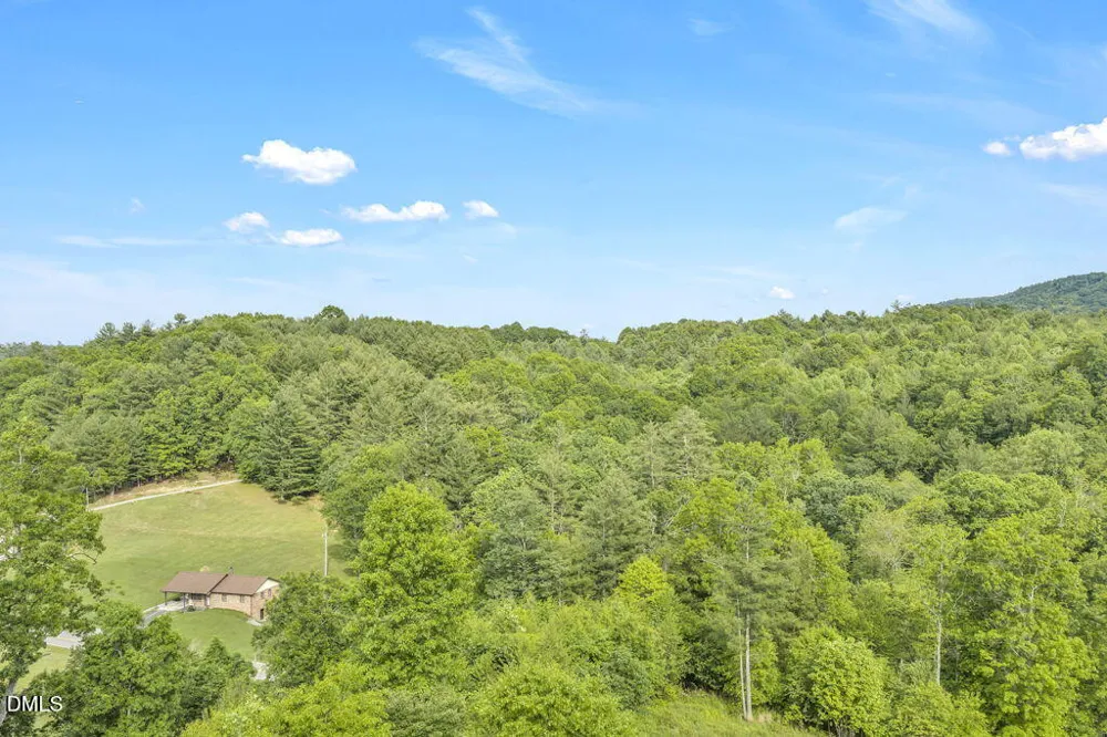 488 Dewitt Road Sparta, NC 28675