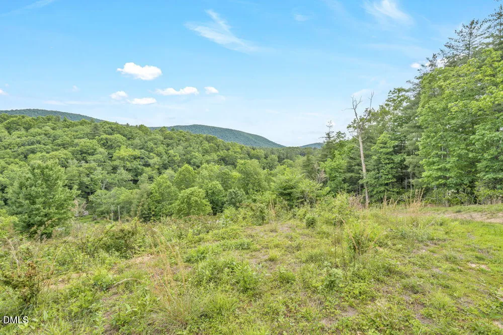 488 Dewitt Road Sparta, NC 28675