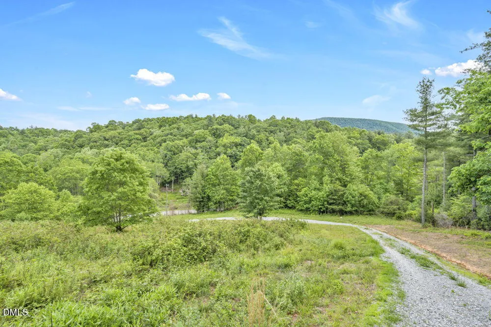 488 Dewitt Road Sparta, NC 28675