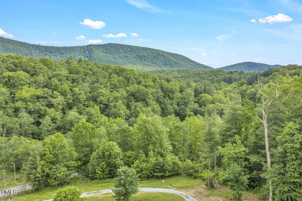 488 Dewitt Road Sparta, NC 28675