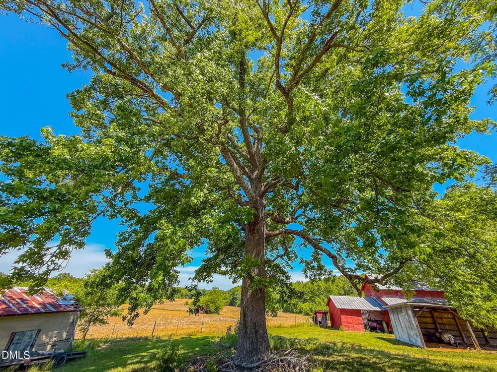 1001 Charlie Reade Timberlake, NC 27583