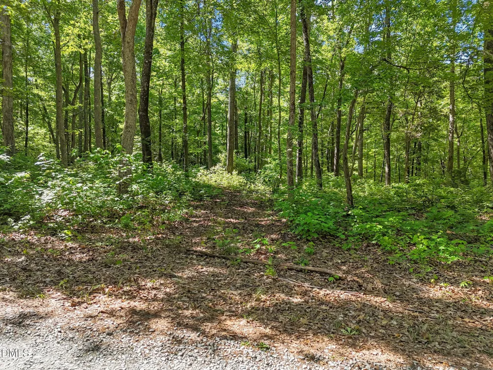 3820 Riversound Lane Hurdle Mills, NC 27541