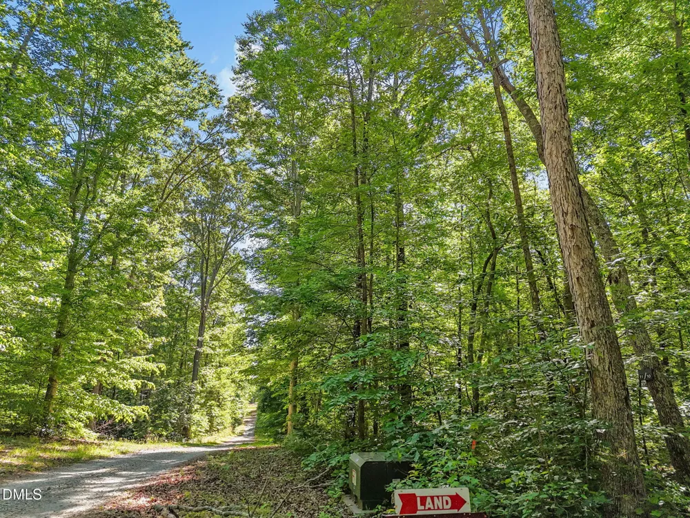 3820 Riversound Lane Hurdle Mills, NC 27541