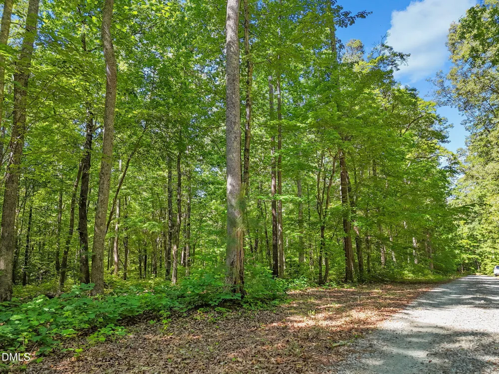 3820 Riversound Lane Hurdle Mills, NC 27541