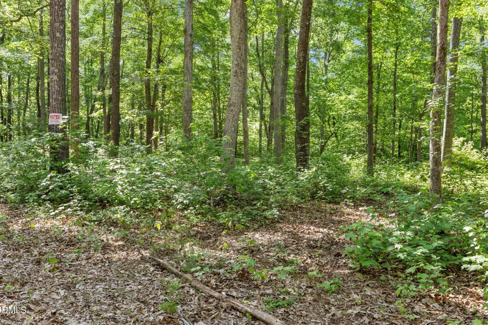 3820 Riversound Lane Hurdle Mills, NC 27541