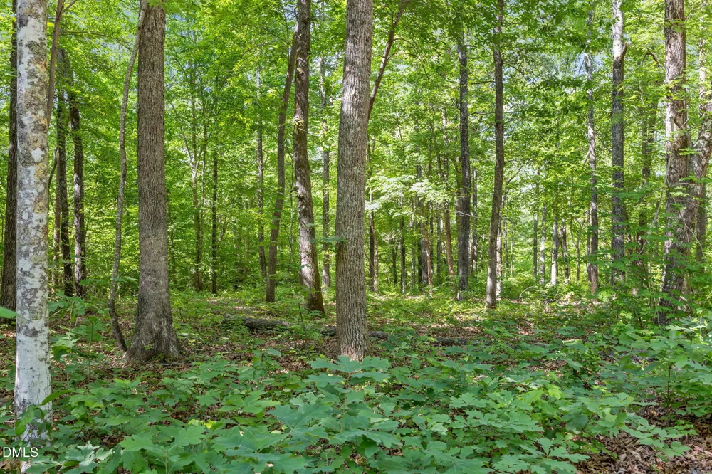3820 Riversound Lane Hurdle Mills, NC 27541
