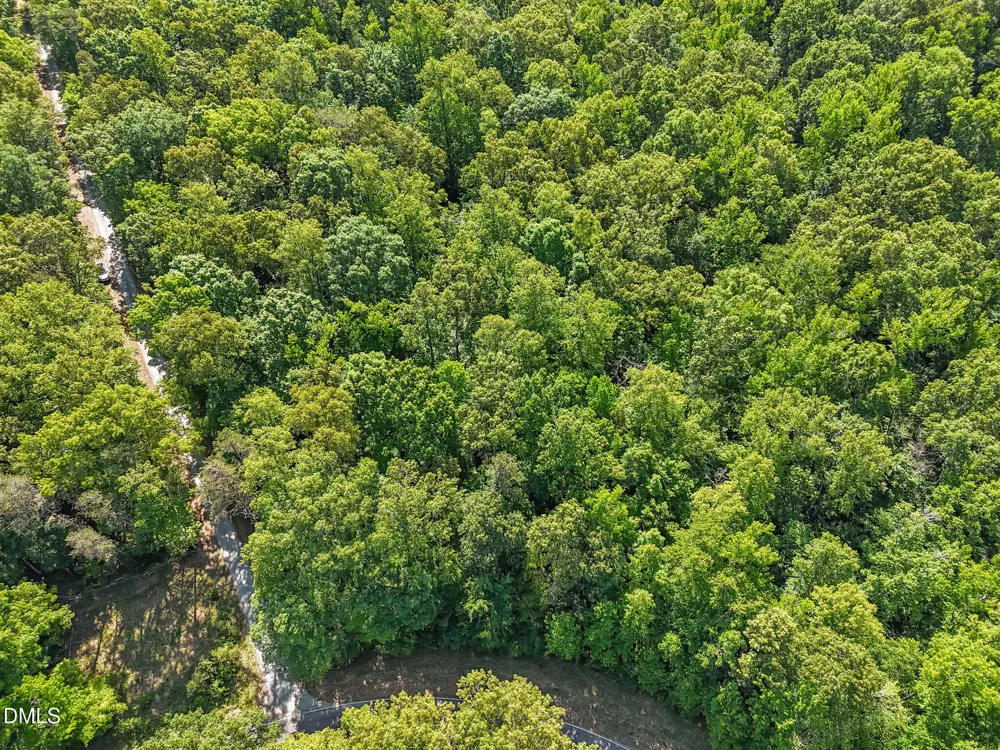 3820 Riversound Lane Hurdle Mills, NC 27541