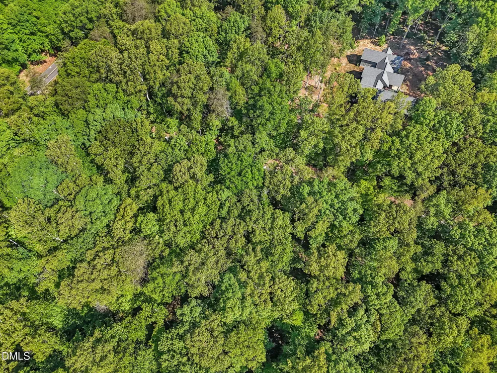 3820 Riversound Lane Hurdle Mills, NC 27541