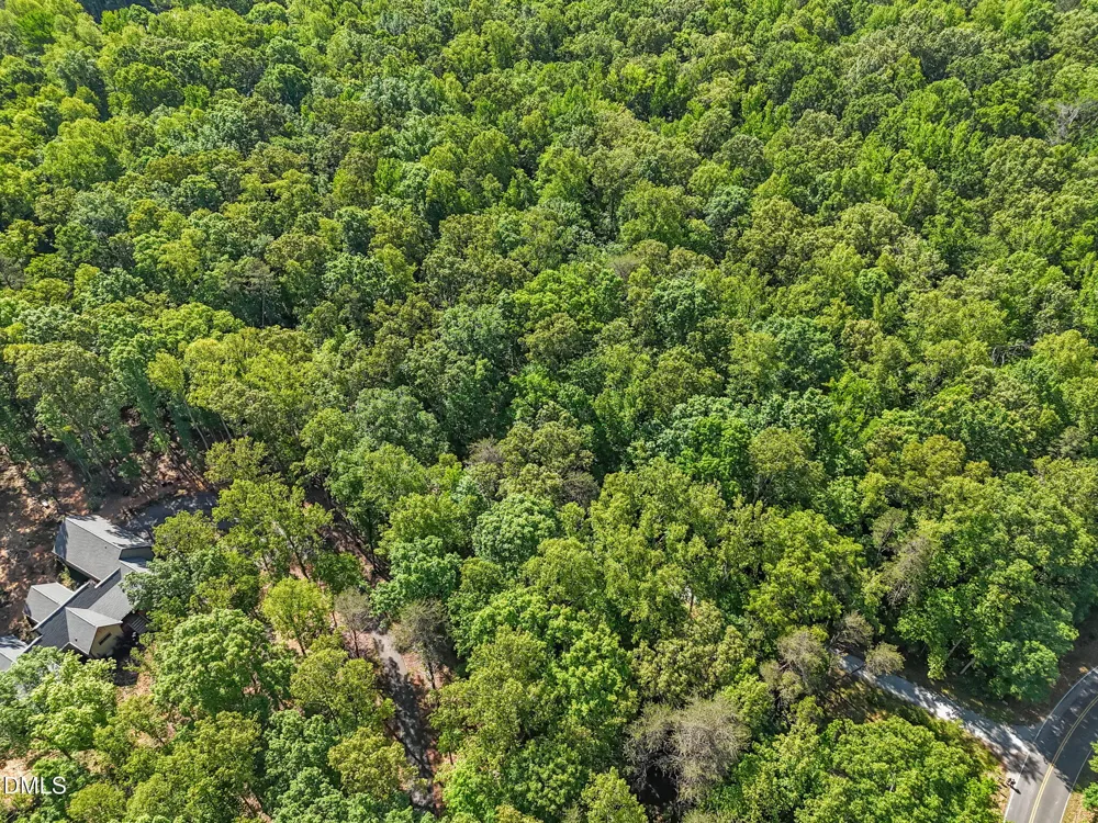 3820 Riversound Lane Hurdle Mills, NC 27541