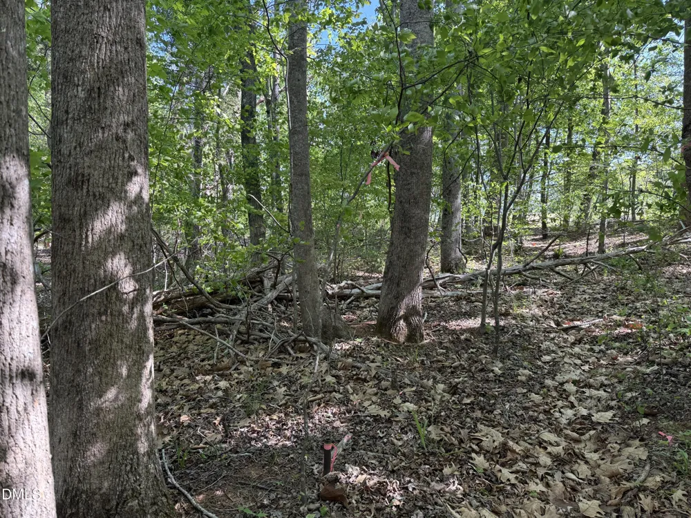 618 Crystal Cove Lane Yanceyville, NC 27379