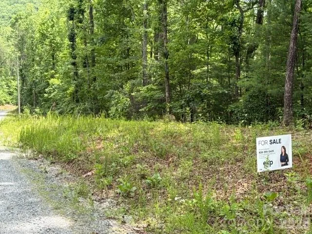 0 Pear tree Drive Lake Lure, NC 28746