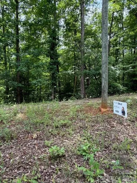 0 Pear tree Drive Lake Lure, NC 28746
