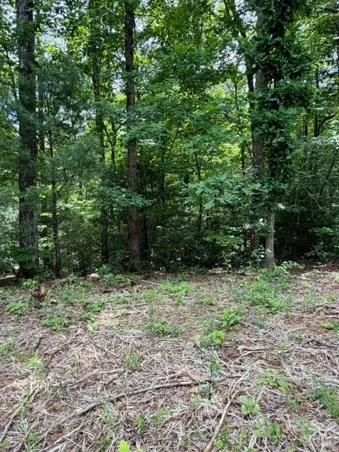 0 Pear tree Drive Lake Lure, NC 28746