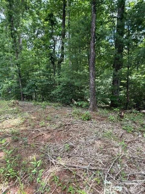 0 Pear tree Drive Lake Lure, NC 28746