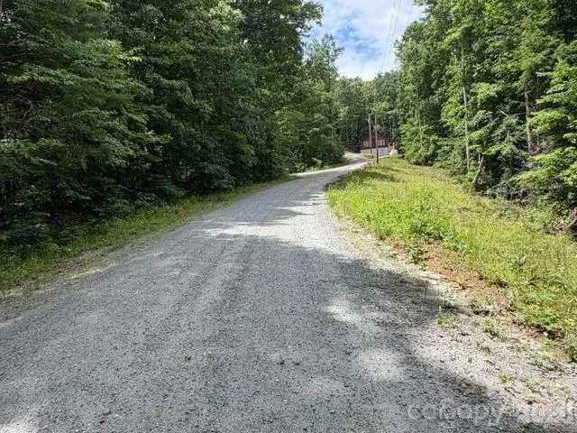 0 Pear tree Drive Lake Lure, NC 28746