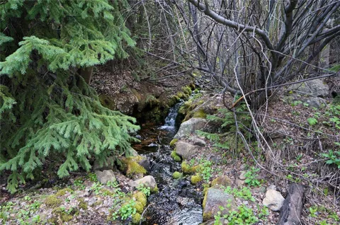 000 Trail Creek Road