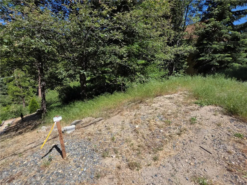 Shenandoah Drive Lake Arrowhead, CA 92352