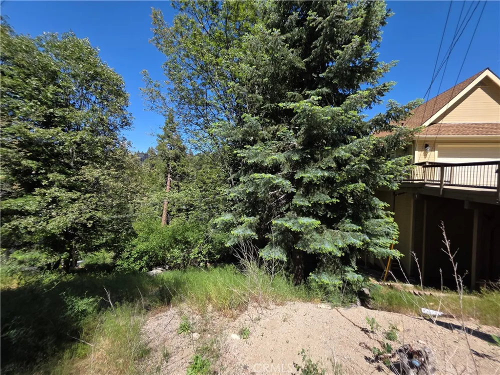 Shenandoah Drive Lake Arrowhead, CA 92352