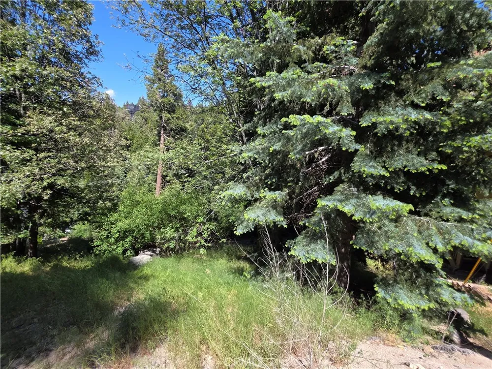 Shenandoah Drive Lake Arrowhead, CA 92352